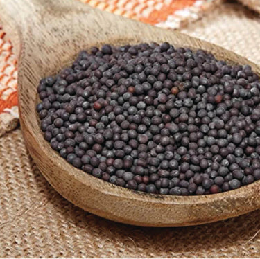 Black Mustard Seeds-Nilgiris